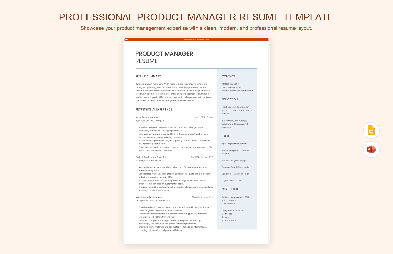 Professional Product Manager Resume Template