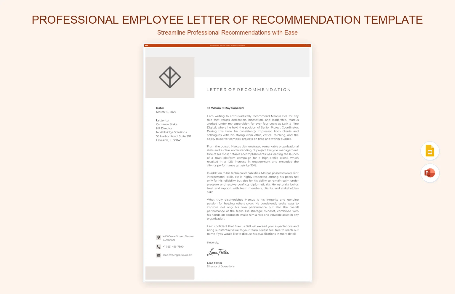 Professional Employee Letter Of Recommendation Template product preview thumbnail