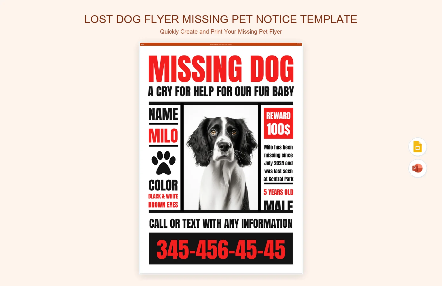 Lost Dog Flyer Missing Pet Notice Template product preview thumbnail